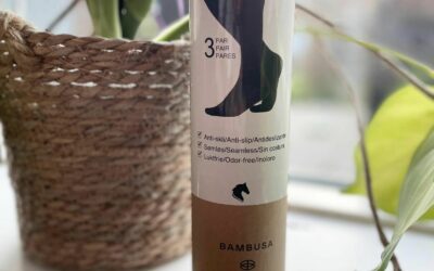 Bambusa er tilbage