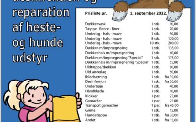Dækkenvask